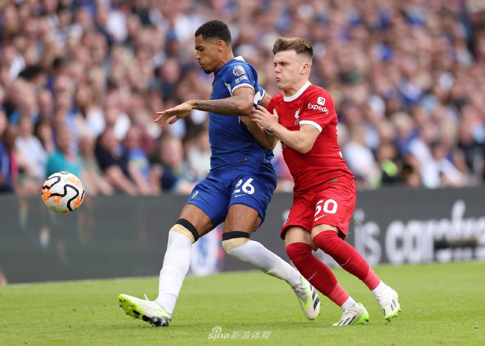 决定引进他 决定引进他